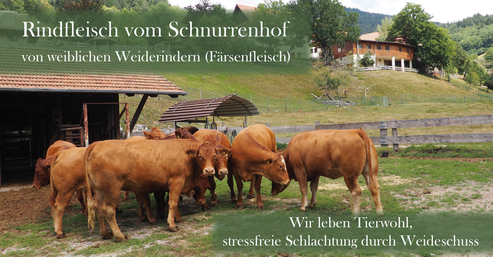 Flyer-Rindfleisch_front_web
